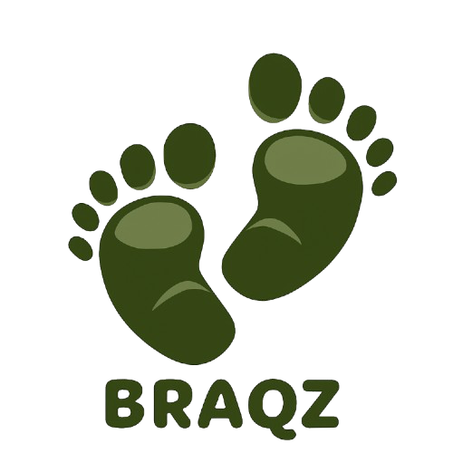 BRAQZ logo